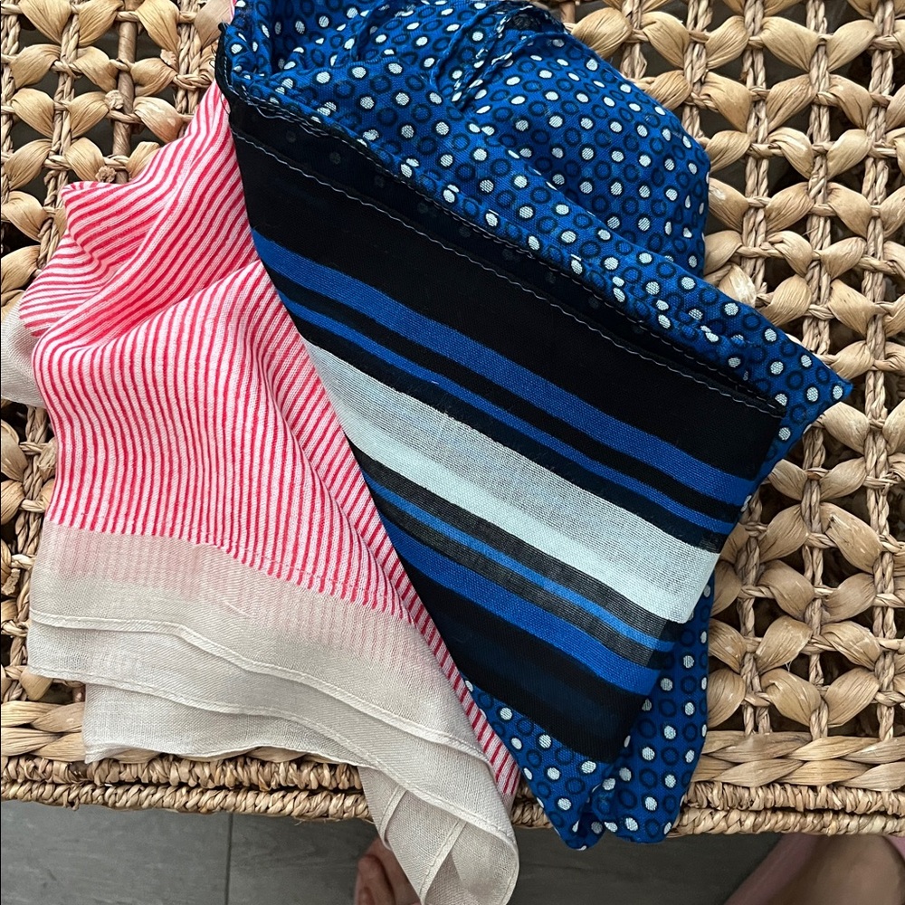 New York & Company Two  Blue and Black Striped Scarf